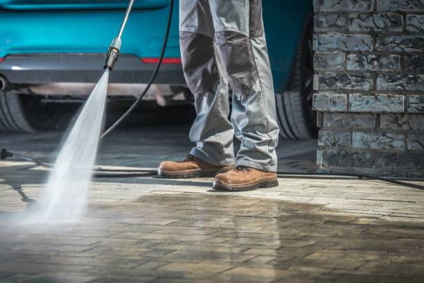Best Soft Washing  in Broadview Park, FL